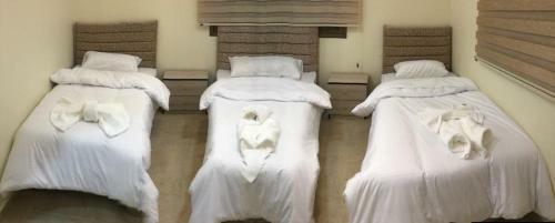 Bed & Breakfast Hospitable Comfortable Guesthouse
