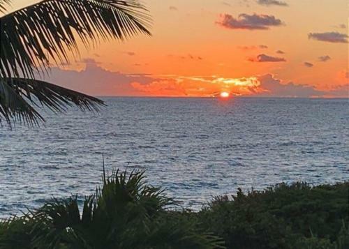 Owl's Roost By Eleuthera Vacation Rentals