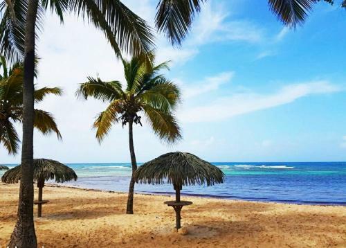 Apartamento Le Ti'paradise
