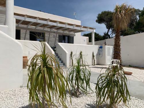 Le Casuzze Ammare