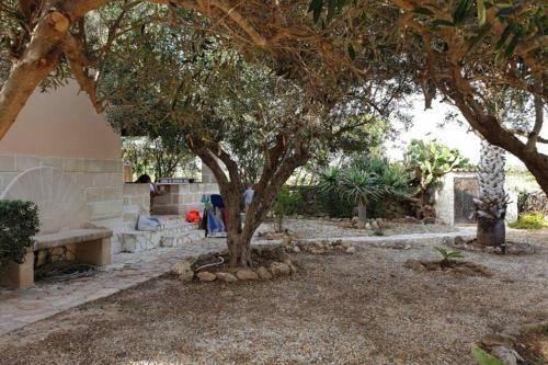 Villa Favignana - La Rosa Del Mare