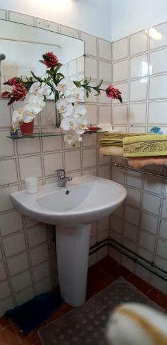 Apartamento Bas De Villa Proche A�roport