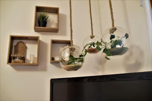 David's & Family Apartmnt