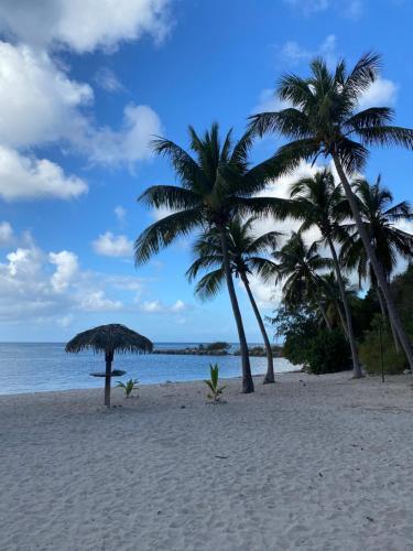 Apartamento Anse Des Rochers Magnolia 931