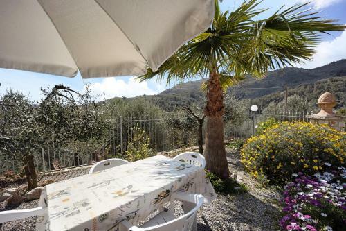 Taverna Relax Tra Gli Ulivi