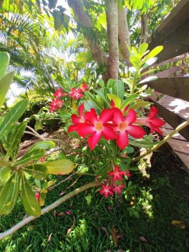 Villa Moorea - Fare Te Utuafare