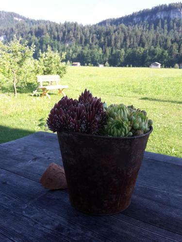 Apartamento G�stehaus Appartements Egender