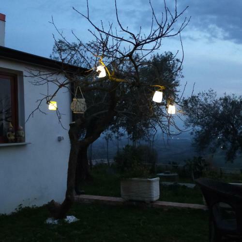 Hostal Il Colle Degli Ulivi