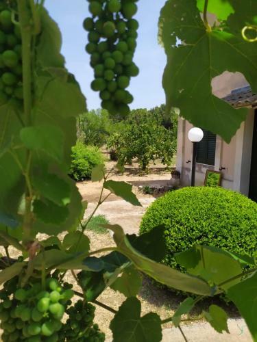 Hostal Villa Holis