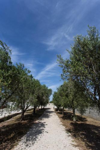 Apartamento Villetta Dei Nespoli |sitcase