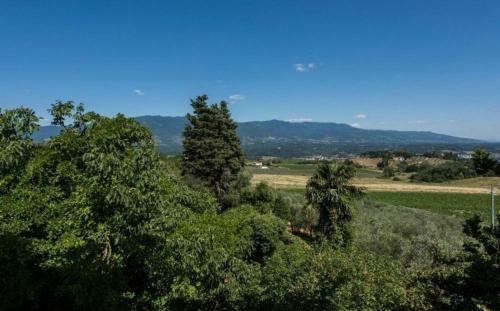 Villa Delle Vigne