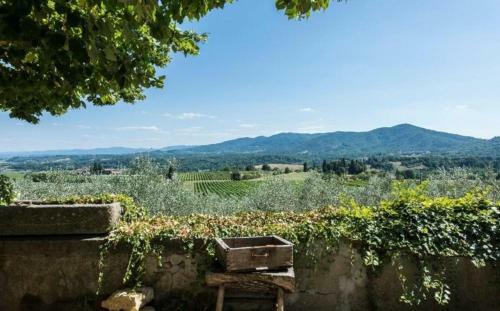 Villa Delle Vigne