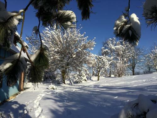 Bed & Breakfast Chambre D'h�tes Du G�te Bleu