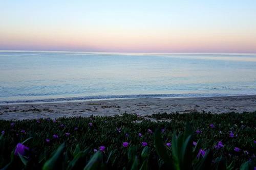 Apartamento L'original, Superbe Appartement � 5min De La Plage