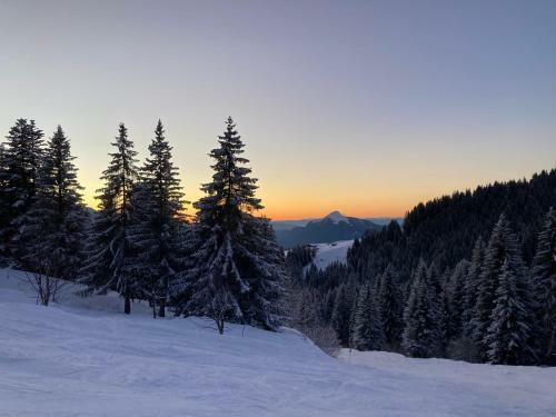 Apartamento Les Carroz D?arrach�s Ski & Mountain