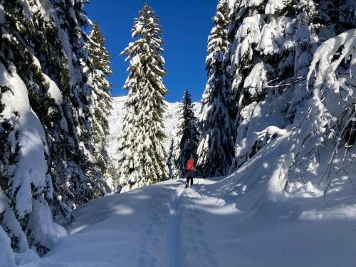 Apartamento Les Carroz D?arrach�s Ski & Mountain