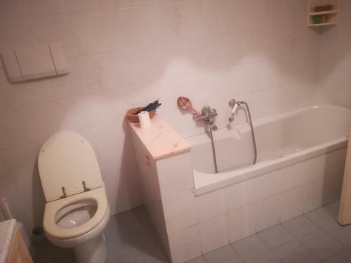 Bed & Breakfast Il Melo Rosa