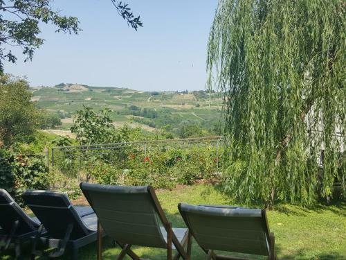 Bed & Breakfast La Terrazza Sui Vigneti-rovescala