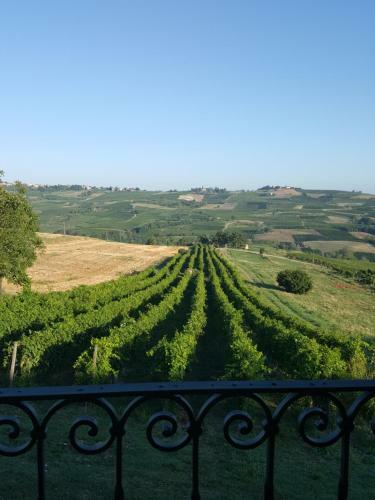 Bed & Breakfast La Terrazza Sui Vigneti-rovescala