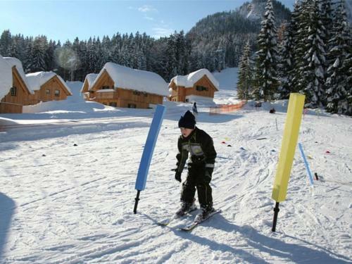 Cozy Chalet In Altaussee Near Ski Area