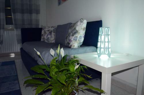 Apartamento La Casetta Delle Rose