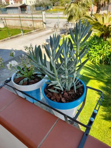 Apartamento La Casetta Delle Rose