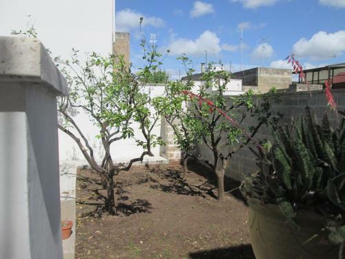 Apartamento Maison Gigante