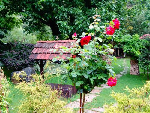 Bed & Breakfast Eco Garden Dilijan