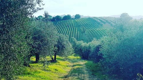 Agriturismo Sant'ellero