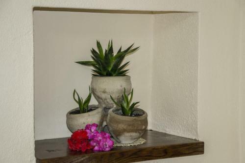 Apartamento La Costa Del Sole