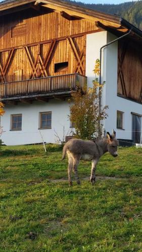 Apartamento Appartements Josef Lercher
