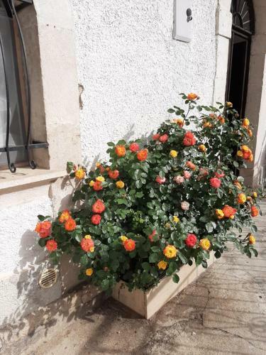 B&B La Casa Dei Nonni