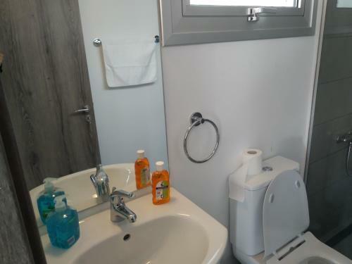 Central Modern Newly Furnished Apartment