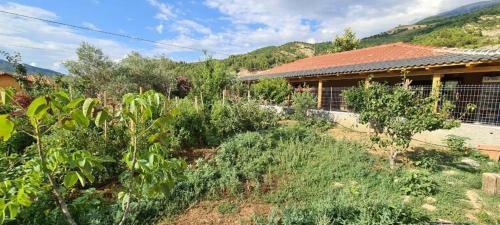 Hostal Bujtina Vjosa
