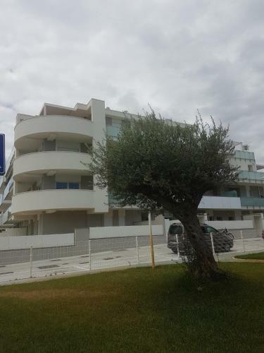 Apartamento Casa Sprint