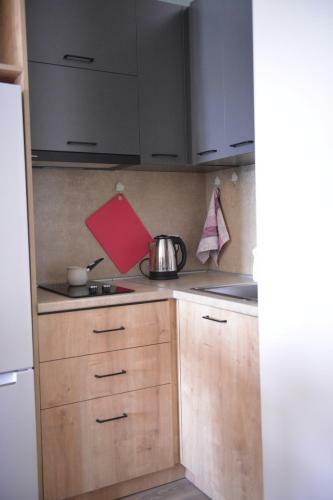 Homely Apartments