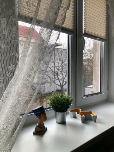 Niine Apartment 12