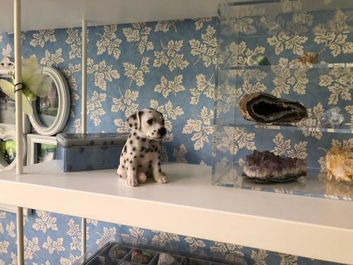 Apartamento La Tana Dei Dalmatini