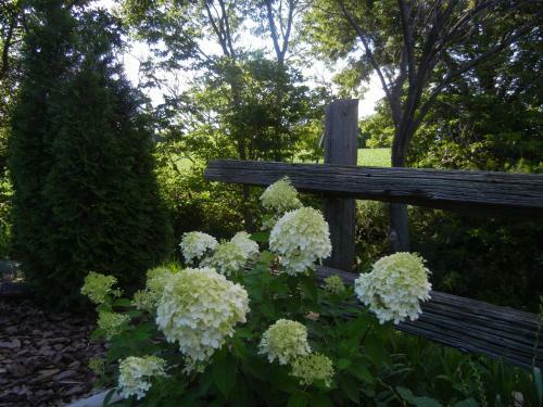 Duck Pond B&B Cottage