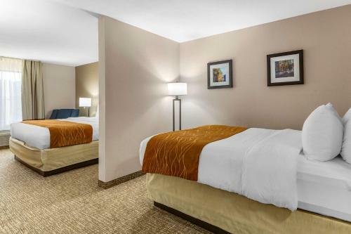 Hotel Comfort Inn Smithfield