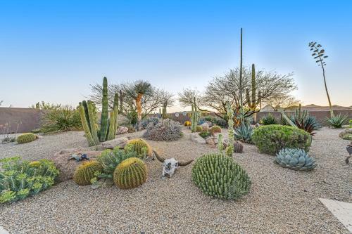 Cave Creek Oasis