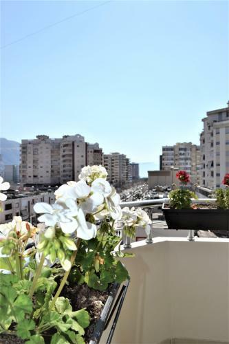 Rossi Apartment