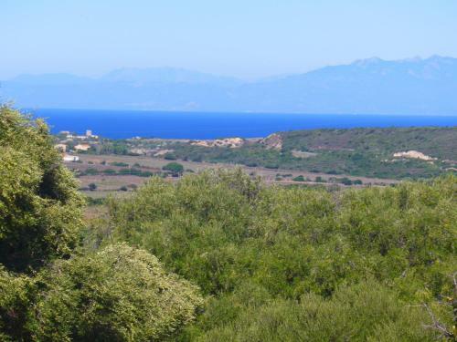 Agriturismo Gli Olivastri