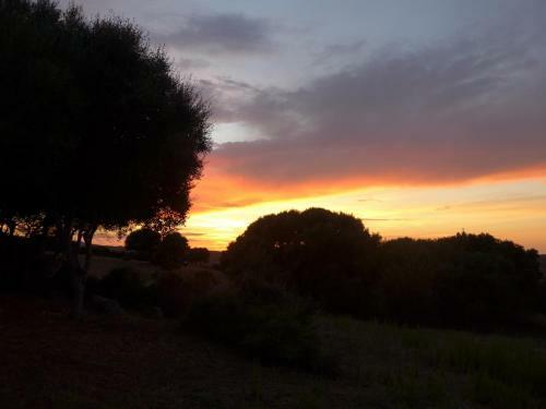 Agriturismo Gli Olivastri