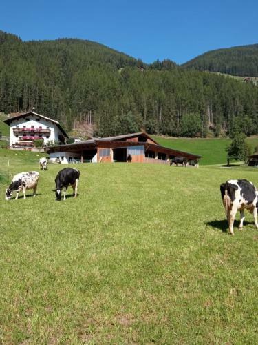 Hostal Pension Ederhof