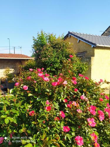 Chez Celine En Campagne