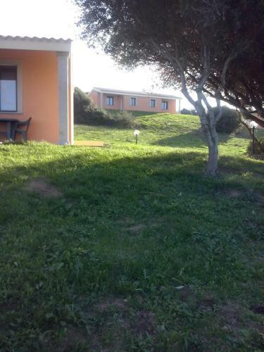 Agriturismo Gli Olivastri - Casa Ginestre