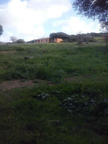 Agriturismo Gli Olivastri - Casa Ginestre