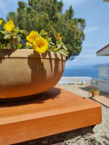 Apartamento Tal�a Residence