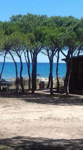Apartamento Appartamento Vecchia Pineta